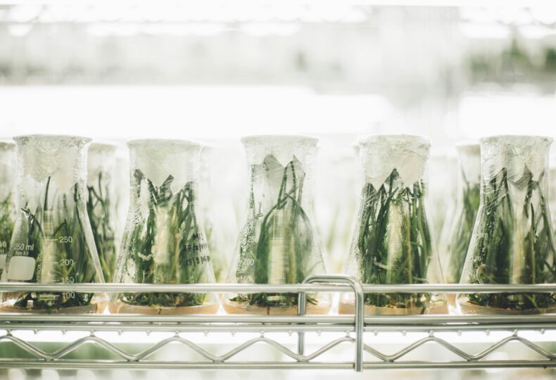 植物工場の成功例|黒字化を実現した企業事例と成功要因を徹底解説